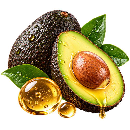 Avocado Extract